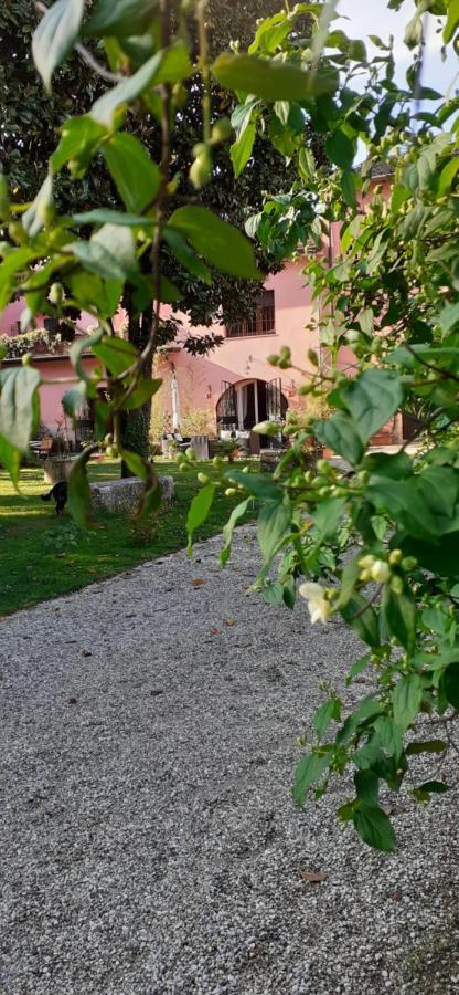 ホテル Residenza La Dimora Imperfetta Salionze エクステリア 写真